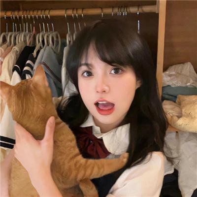复制品
